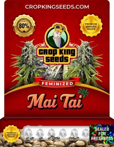 Mai Tai