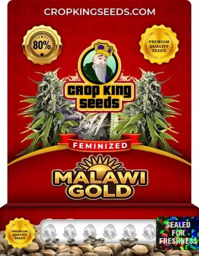Malawi Gold
