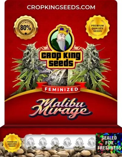Malibu Mirage