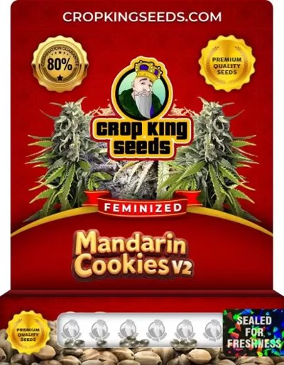 Mandarin Cookies V2