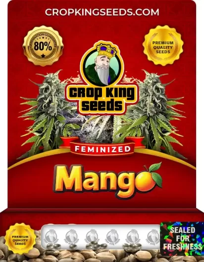 mango-image