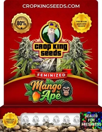 Mango Ape