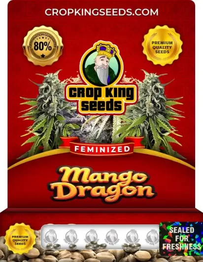 mango-dragon-image