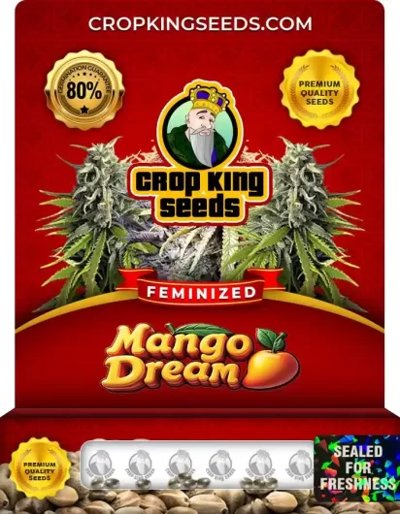 Mango Dream