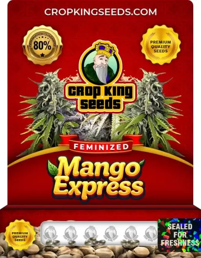 mango-express-image