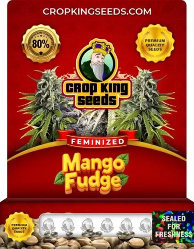 Mango Fudge