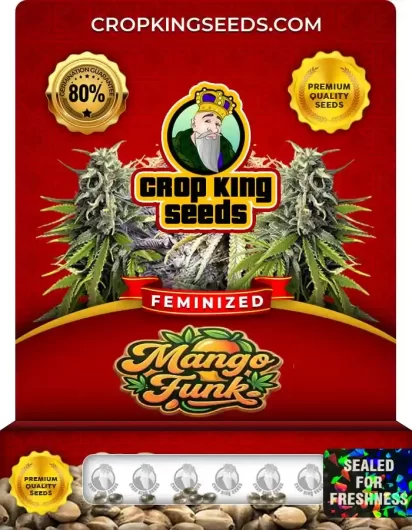 mango-funk-image