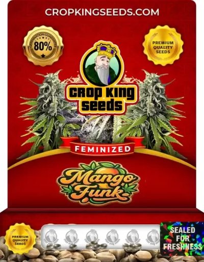 Mango Funk