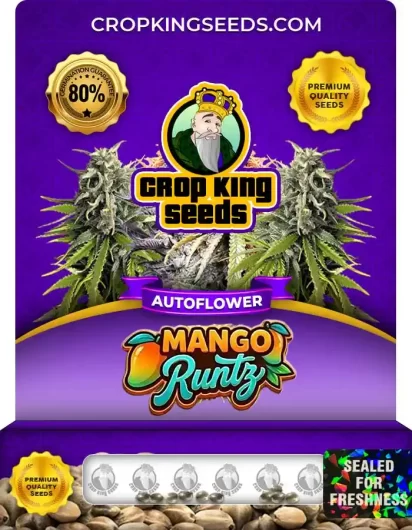 mango-runtz-autoflower-image