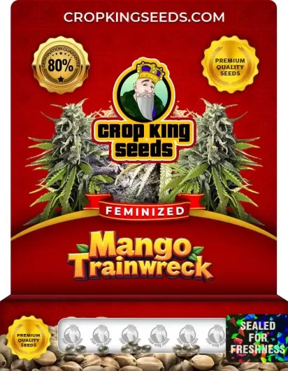mango-trainwreck-image