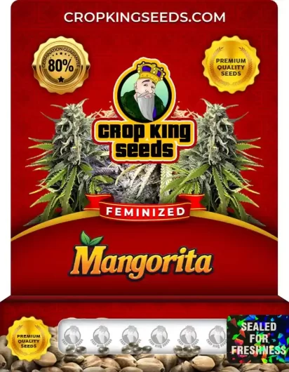 mangorita-image