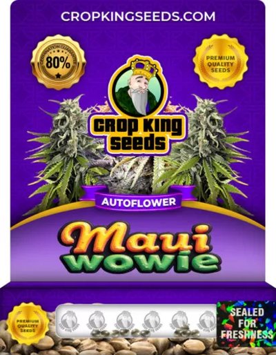 Maui Wowie Autoflower