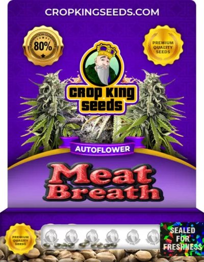 Meat Breath Autoflower