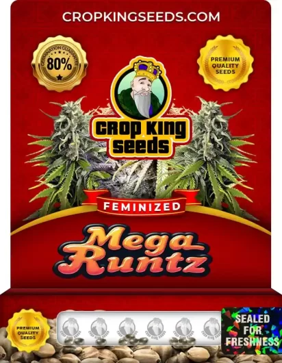mega-runtz-image