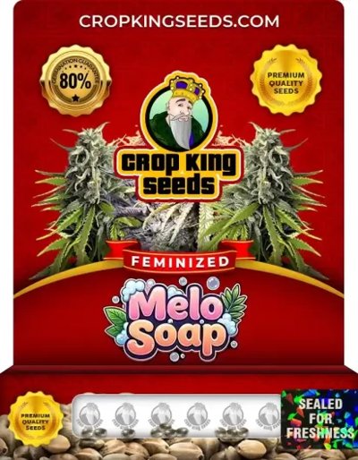 Melo Soap