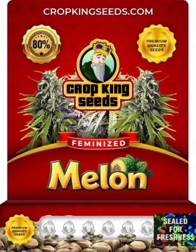 Melon