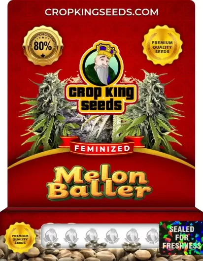 melon-baller-image