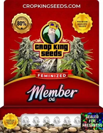 Member OG