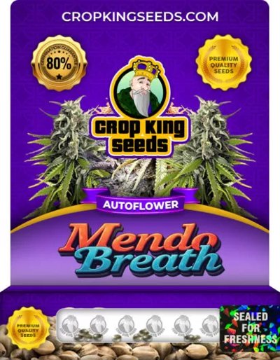 Mendo Breath Autoflower