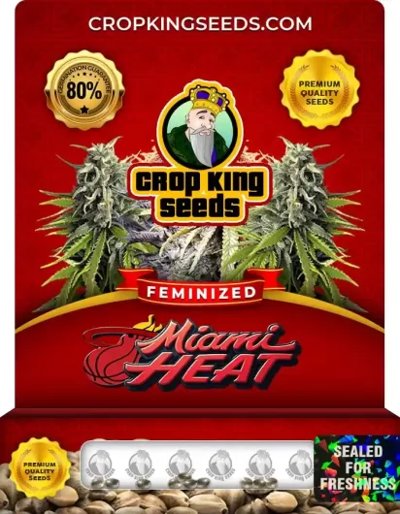 Miami Heat