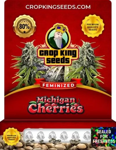 Michigan Cherries