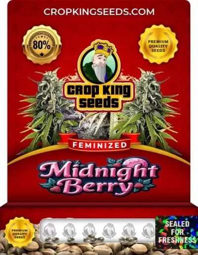 Midnight Berry
