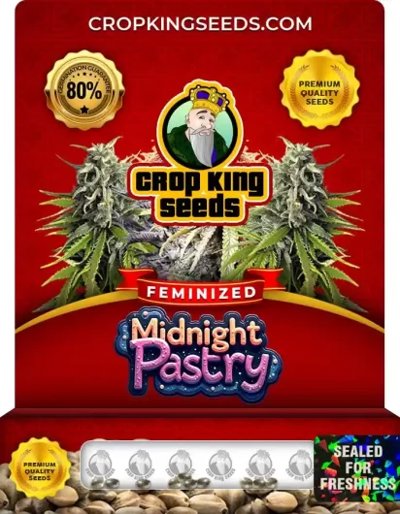Midnight Pastry