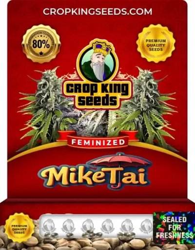 Mike Tai