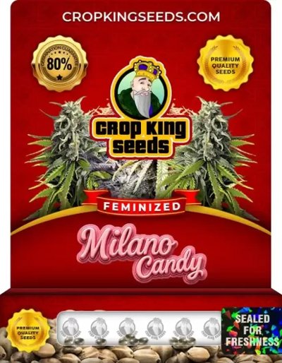 Milano Candy
