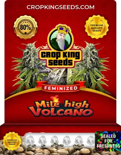 mile-high-volcano-image