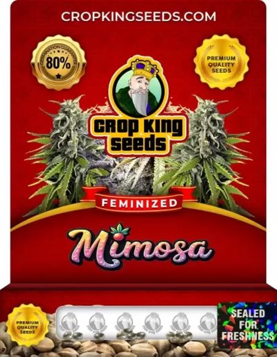 Mimosa