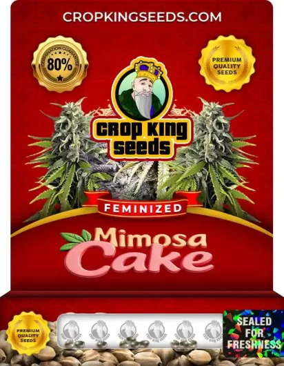 mimosa-cake-image