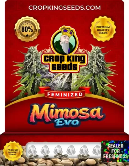 mimosa-evo-image