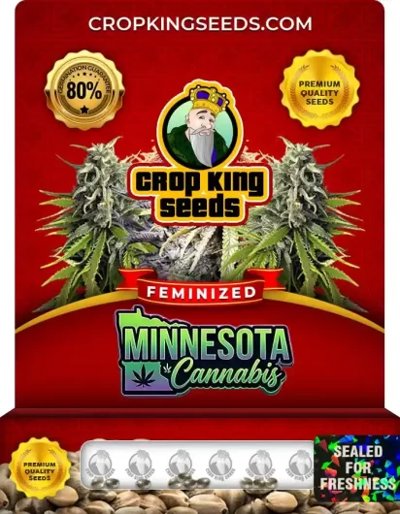 Minnesota