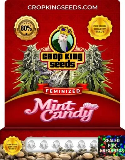 Mint Candy