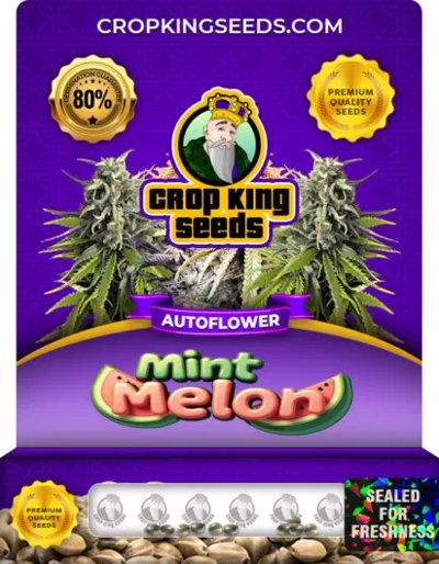 Mint Melon Autoflower