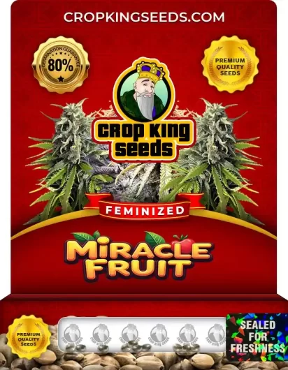 miracle-fruit-image