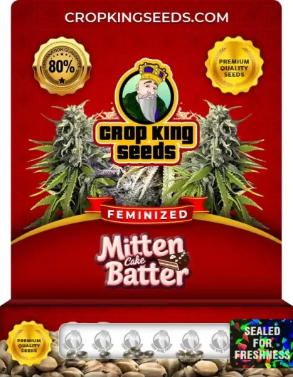mitten-cake-batter-image