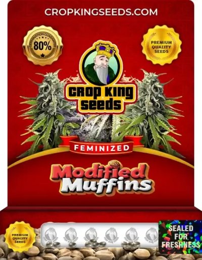 Modified Muffins