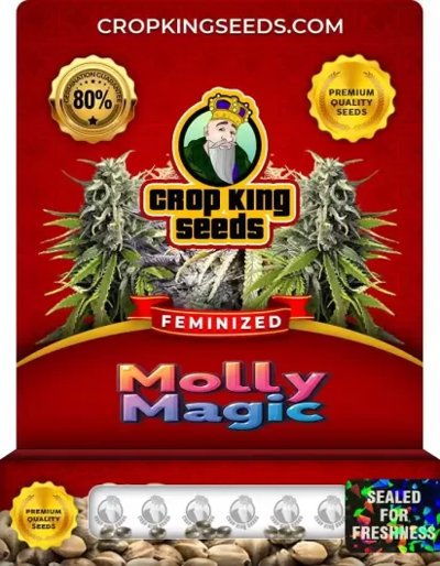 Molly Magic