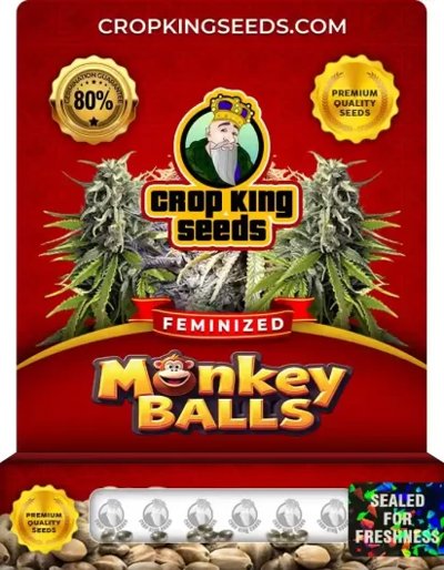 Monkey Balls