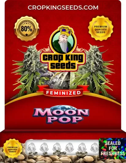moon-pop-image
