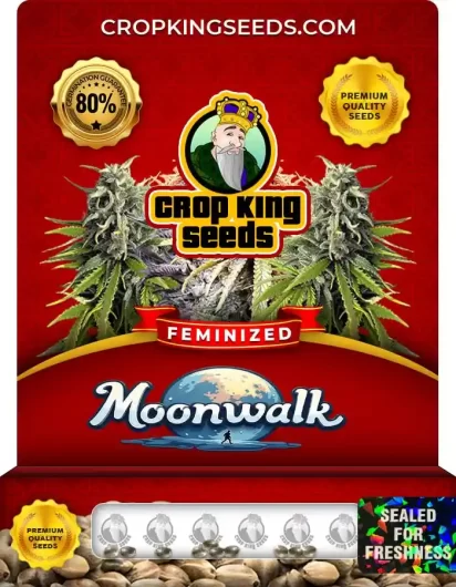 moonwalk-image