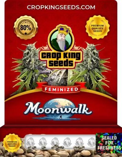 Moonwalk