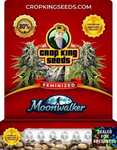 Moonwalker