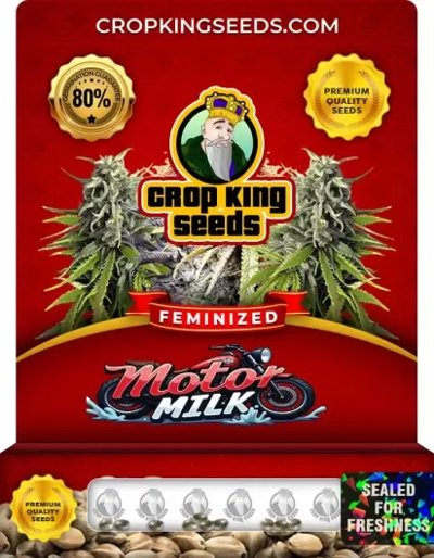Motor Milk