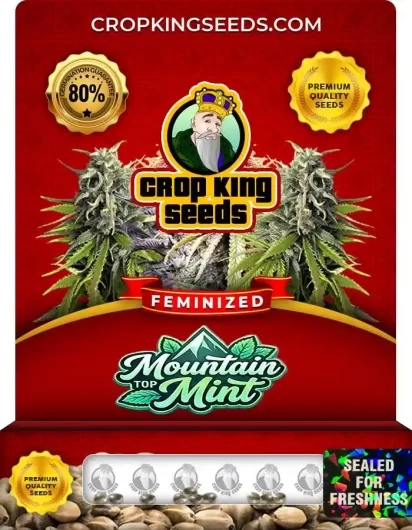 mountain-top-mint-image