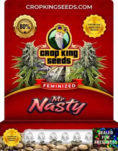 Mr. Nasty