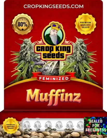 muffinz-image
