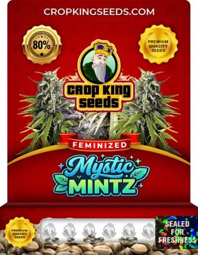 Mystic Mintz